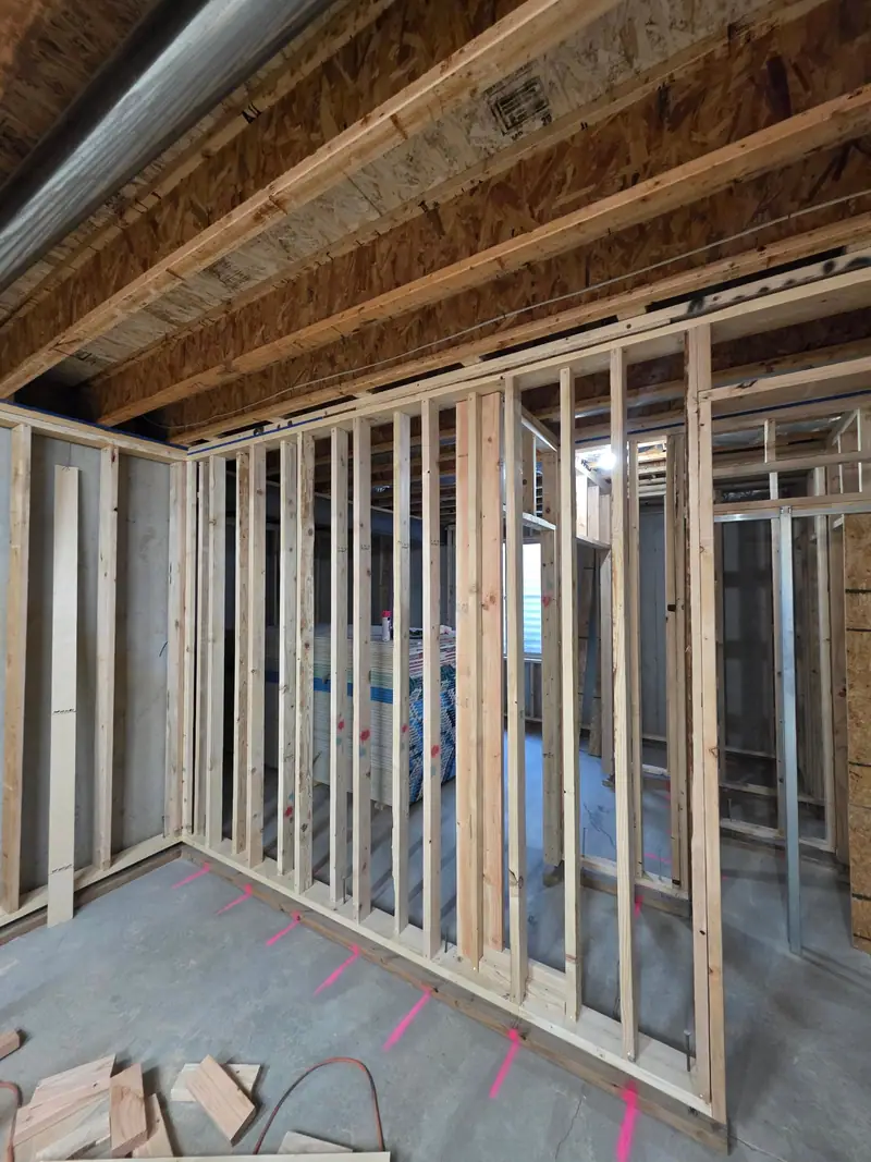New stud walls framed in an unfinished basement under the open joists